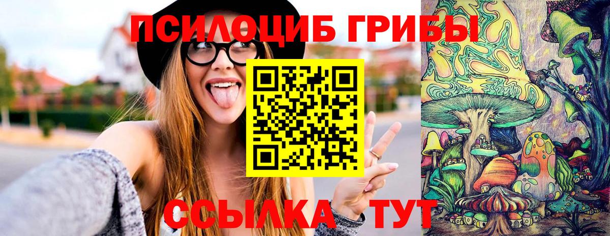 Псилоцибиновые грибы Cubensis  Галлюциногенные грибы Cubensis  Вход с VPN  Горячий Ключ 